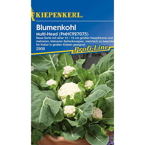 Conopidă Multi Head F1 Kiepenkerl imagine 1 articol 86394