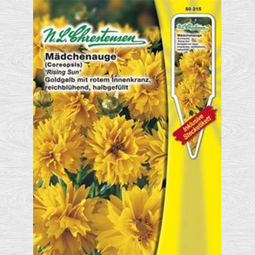 Coreopsis Rising Sun imagine 1 articol 69276