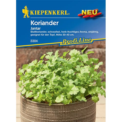 Coriandru Jantar Kiepenkerl articol fotografie 1 Coriandru Jantar Kiepenkerl imagine 1 articol 50014