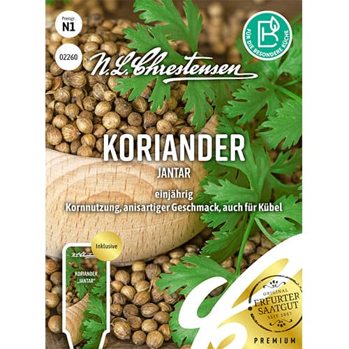 Coriandru Jantar imagine 1 articol 87843