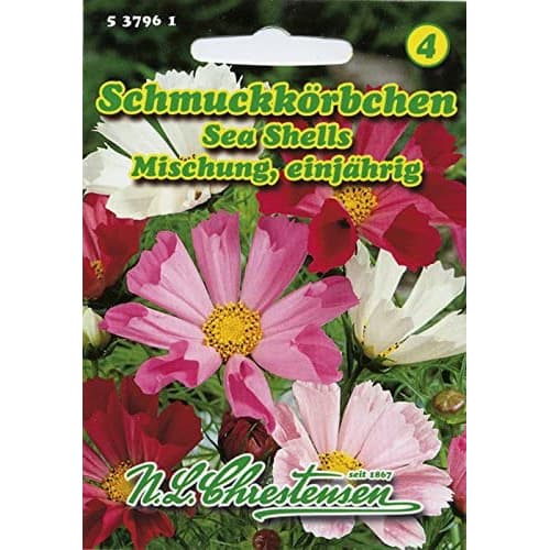 Cosmos (Mărărițe) Sea Shells, mix multicolor imagine 1 articol 87805