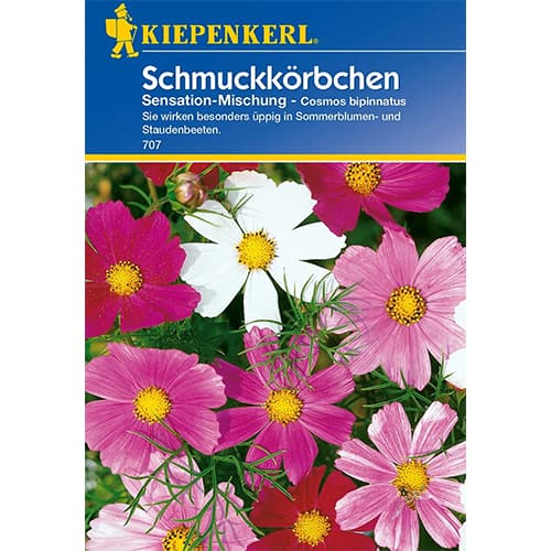 Cosmos (Mărărițe) Sensation, mix multicolor imagine 1 articol 77400