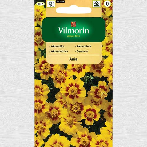 Craite Ania articol fotografie 1 Craite Ania imagine 1 articol 69758