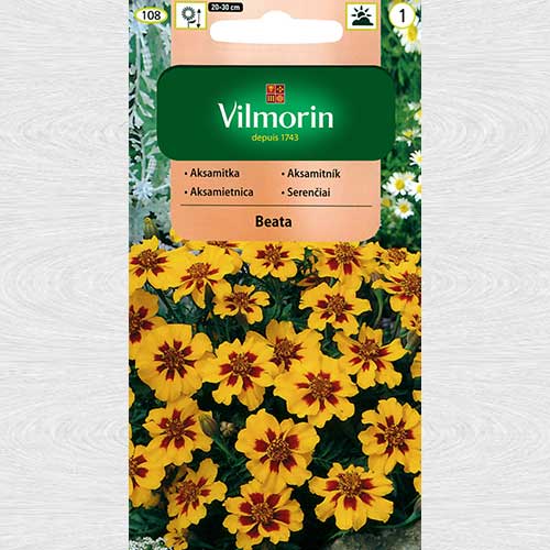 Craite Beata articol fotografie 1 Craite Beata imagine 1 articol 69759