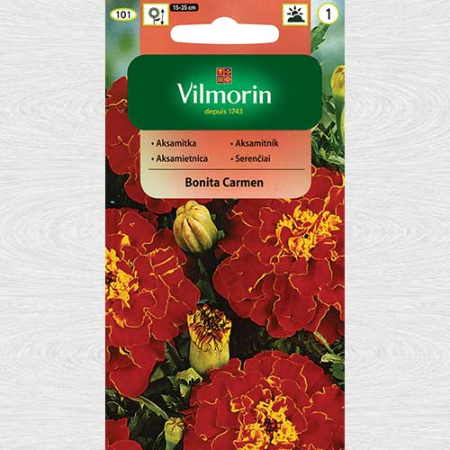 Craite Bonita Carmen articol fotografie 1 Craite Bonita Carmen imagine 1 articol 69753