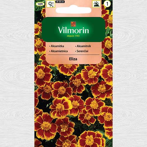 Craite Eliza articol fotografie 1 Craite Eliza imagine 1 articol 69760