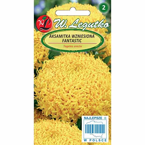 Crăițe galbene Fantastic articol fotografie 1 Crăițe galbene Fantastic imagine 1 articol 96692