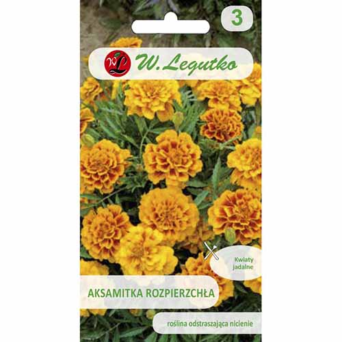 Crăițe Queen Sophia imagine 1 articol 96730