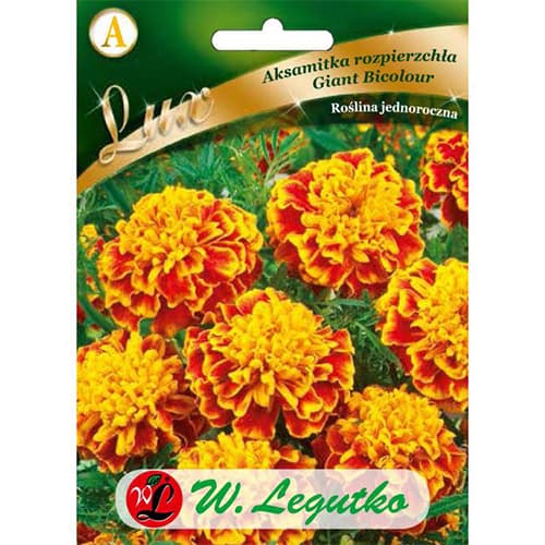 Gălbenele Giant Bicolor articol fotografie 1 Gălbenele Giant Bicolor imagine 1 articol 78650