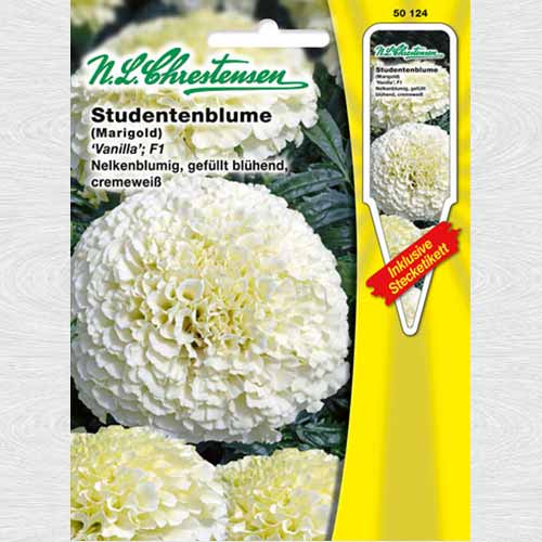 Crăițe înalte Vanilla F1 articol fotografie 1 Crăițe înalte Vanilla F1 imagine 1 articol 69386