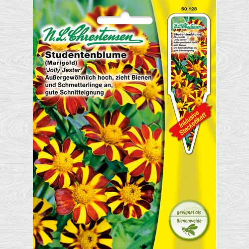 Crăițe Jolly Jester imagine 1 articol 69389