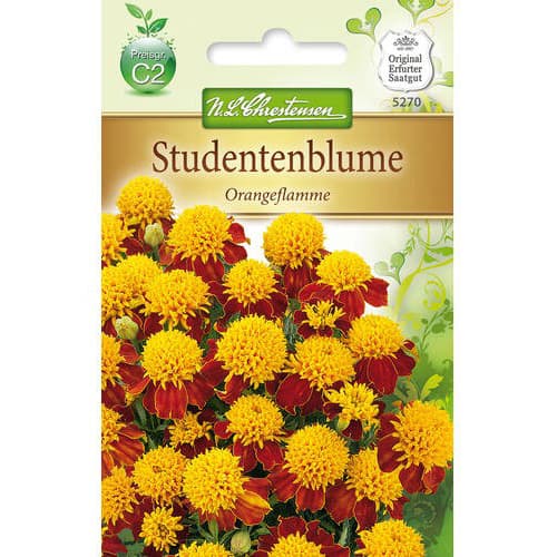 Crăițe Orange Flame imagine 1 articol 78941