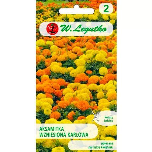 Crăițe pitică, Мix Legutko articol fotografie 1 Crăițe pitică, Мix Legutko imagine 1 articol 50081