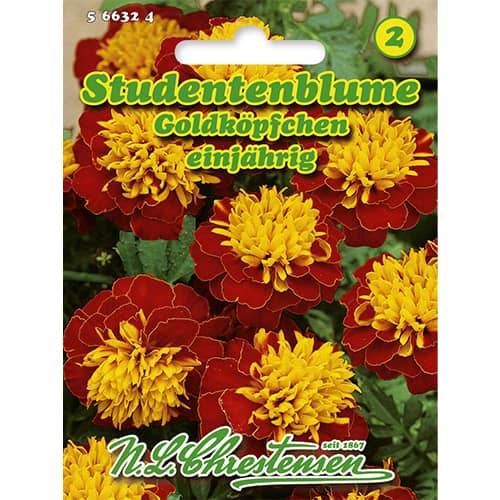 Crăițe pitice Gold Heads imagine 1 articol 86207