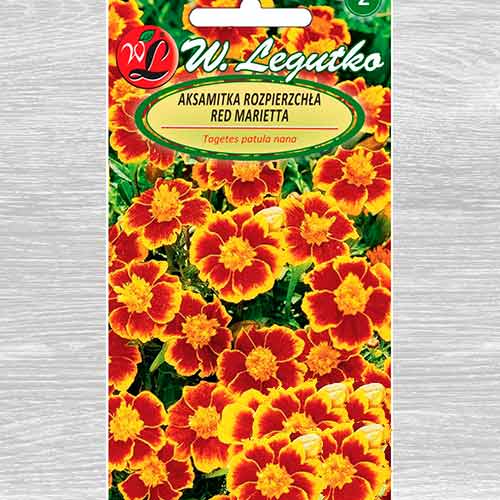 Crăițe Red Marietta Legutko imagine 1 articol 69553