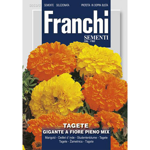 Crăițe gigant cu flori pline, mix multicolor imagine 1 articol 87308