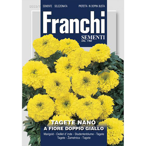 Crăițe pitice cu flori duble galbene articol fotografie 1 Crăițe pitice cu flori duble galbene imagine 1 articol 87309