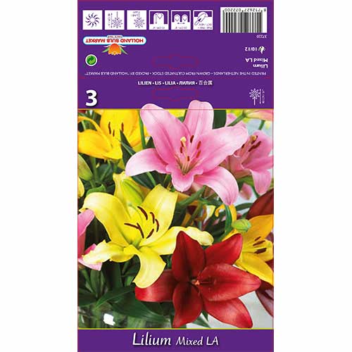 Crin L.A. mix multicolor imagine 1 articol 70212