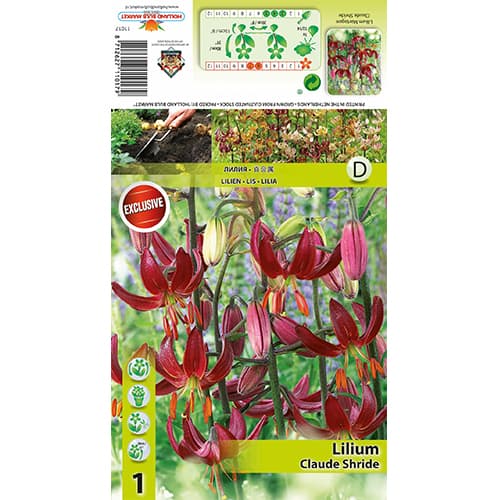 Crin Claude Shride imagine 1 articol 77822