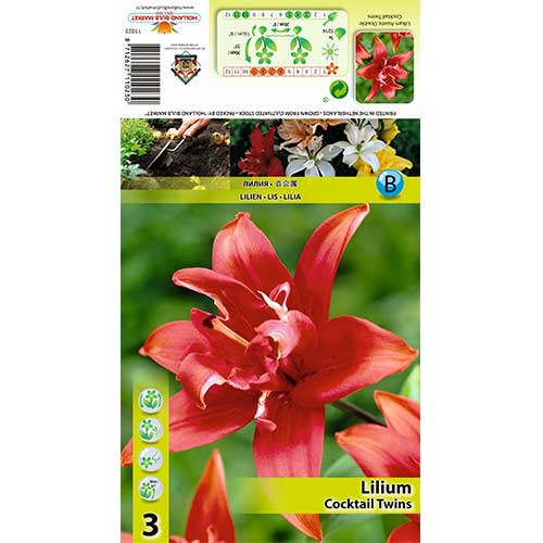 Crin Cocktail Twins articol fotografie 1 Crin Cocktail Twins imagine 1 articol 70426