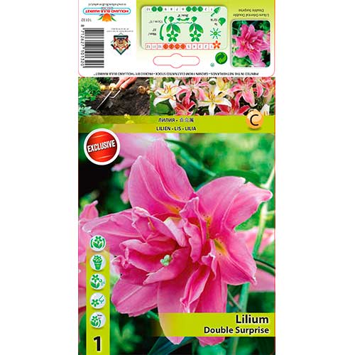 Crin Double Surprise imagine 1 articol 76307