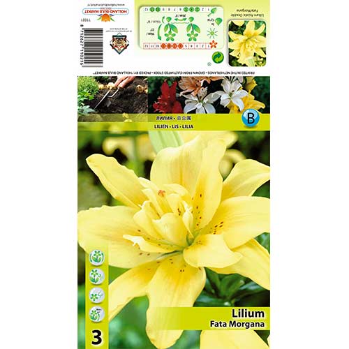 Crin Fata Morgana imagine 1 articol 70430