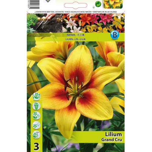 Crin Grand Cru imagine 1 articol 76468