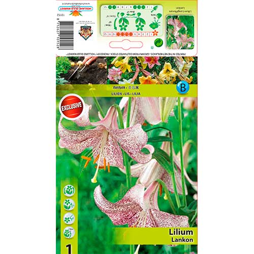 Crin Lankon imagine 1 articol 76312