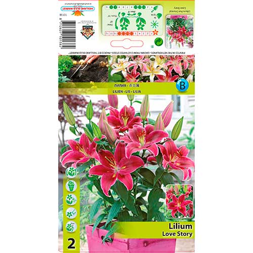 Crin Love Story articol fotografie 1 Crin Love Story imagine 1 articol 76313