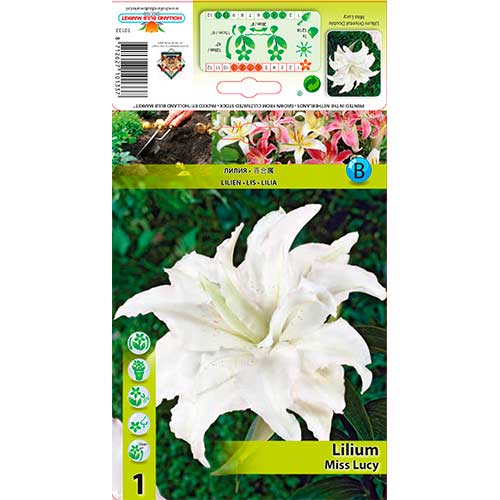 Crin Miss Lucy imagine 1 articol 76316