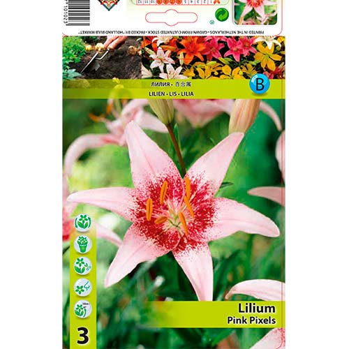 Crin Pink Pixels imagine 1 articol 70469