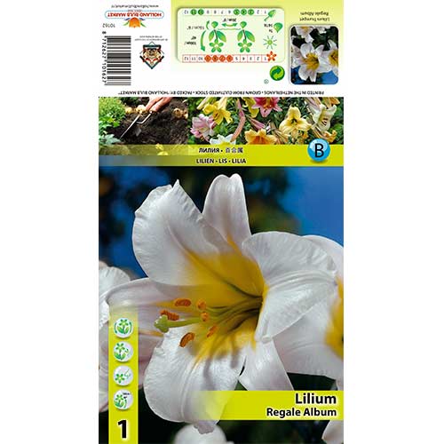 Crin Regale Album imagine 1 articol 70436