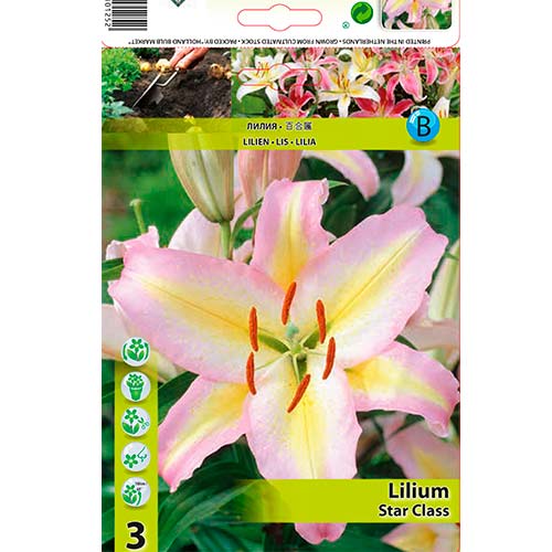 Crin Star Class imagine 1 articol 76478