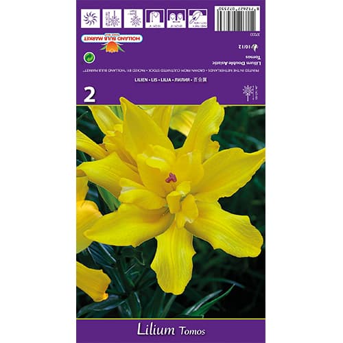 Crin Tomos imagine 1 articol 77839