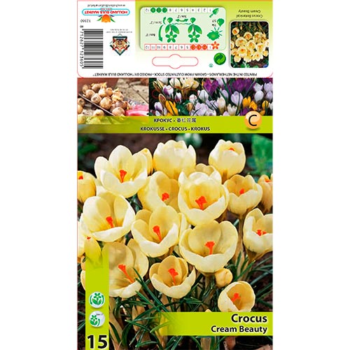 Brândușe Cream Beauty imagine 1 articol 67328