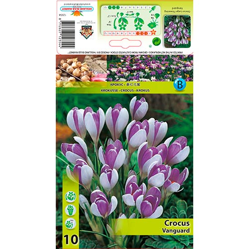 Brândușe Vanguard imagine 1 articol 67343