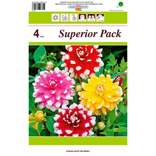 Dalie White Top mix multicolor imagine 1 articol 76431