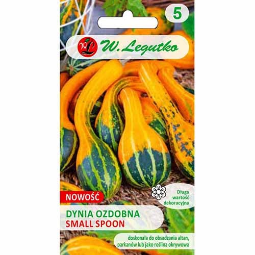 Dovleac decorativ Small Spoon imagine 1 articol 96769