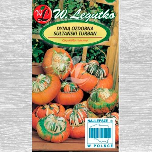 Dovleac decorativ Sultan's turban Legutko imagine 1 articol 69585