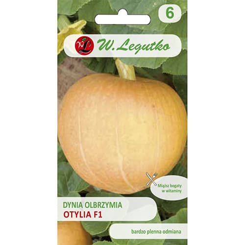 Dovleac gigant Otylia F1 imagine 1 articol 86862