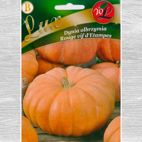 Dovleac gigant Rouge vif d'Etampes imagine 1 articol 69462