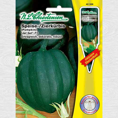 Dovleac Jet Set imagine 1 articol 69189