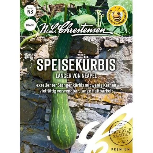 Dovleac Langer von Neapel imagine 1 articol 96496