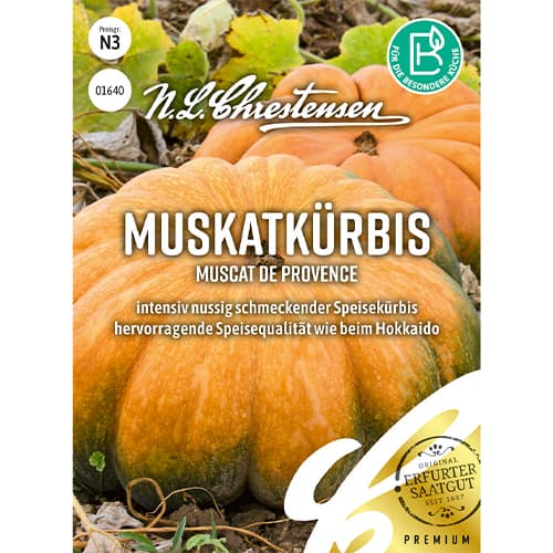 Dovleac Muscat de Provence imagine 1 articol 86071