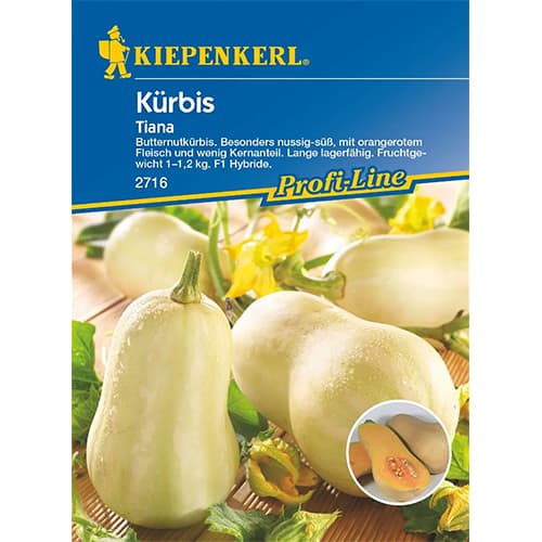 Dovleac Tiana F1 imagine 1 articol 87282