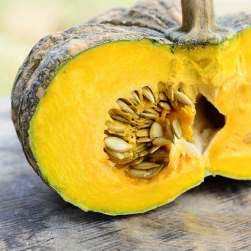 Dovlecel Miranda imagine 3 articol 66661