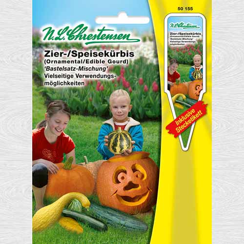 Dovlecel ornamental Bastelatsz, amestec articol fotografie 1 Dovlecel ornamental Bastelatsz, amestec imagine 1 articol 69287