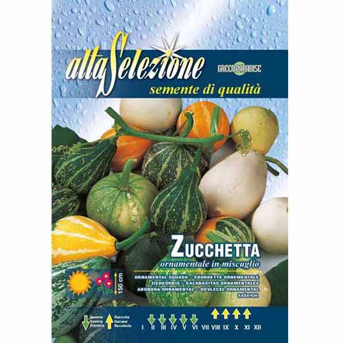 Dovlecel ornamental, mix multicolor imagine 1 articol 96334