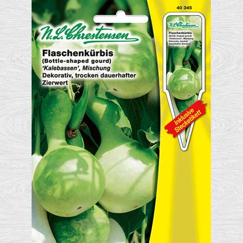 Dovlecel Tigva, amestec articol fotografie 1 Dovlecel Tigva, amestec imagine 1 articol 69074