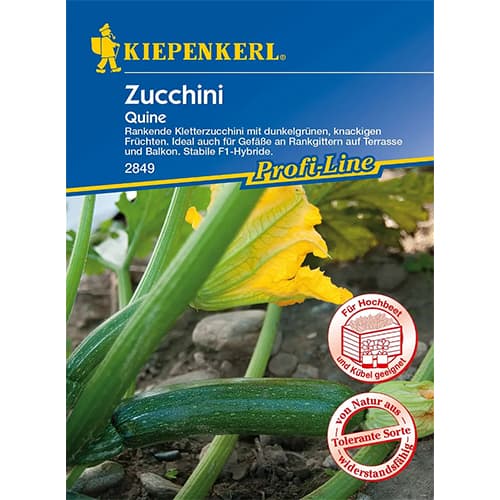 Dovlecel zucchini Quine F1 imagine 1 articol 86366